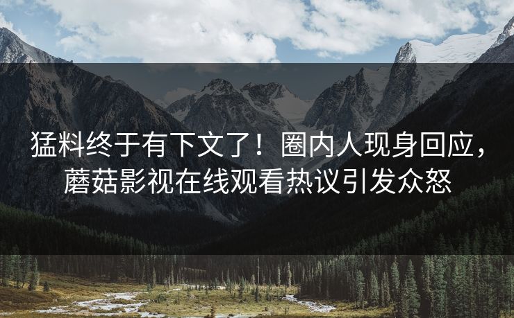 猛料终于有下文了！圈内人现身回应，蘑菇影视在线观看热议引发众怒