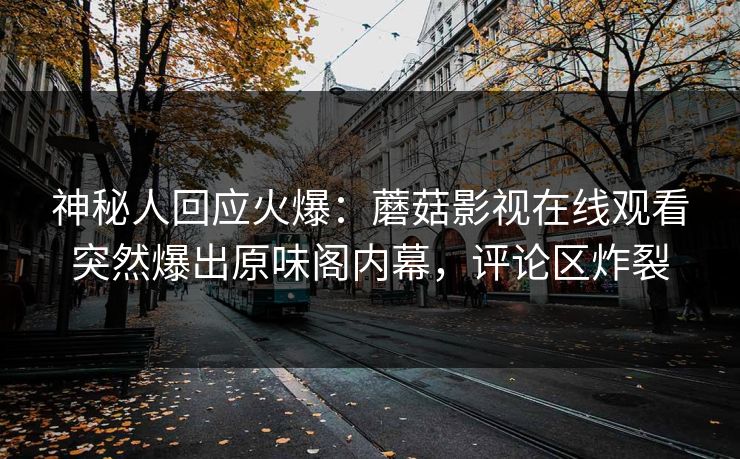 神秘人回应火爆：蘑菇影视在线观看突然爆出原味阁内幕，评论区炸裂