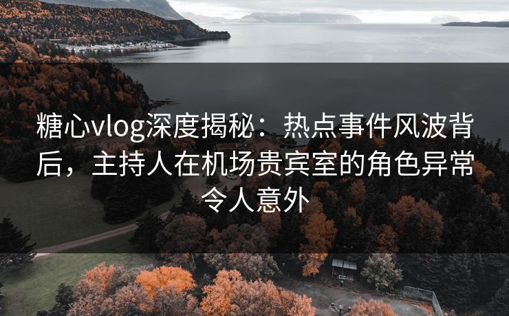 糖心vlog深度揭秘：热点事件风波背后，主持人在机场贵宾室的角色异常令人意外