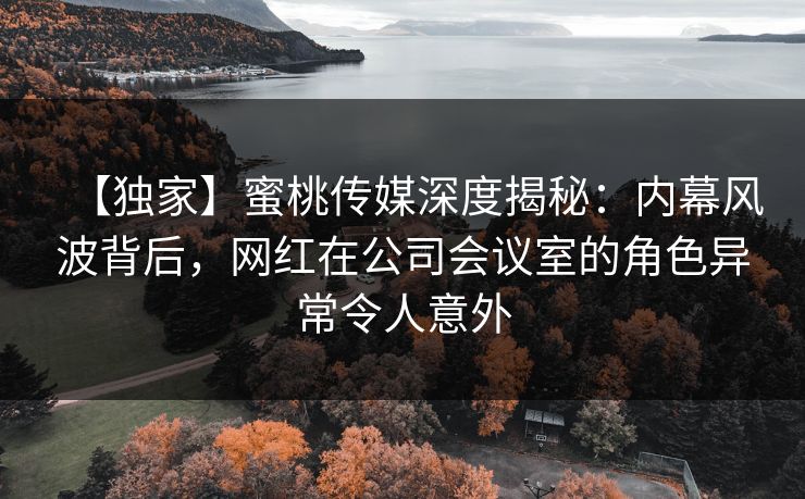 【独家】蜜桃传媒深度揭秘:内幕风波背后,网红在公司会议室的角色异常令人意外