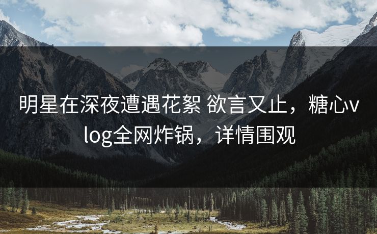 明星在深夜遭遇花絮 欲言又止，糖心vlog全网炸锅，详情围观