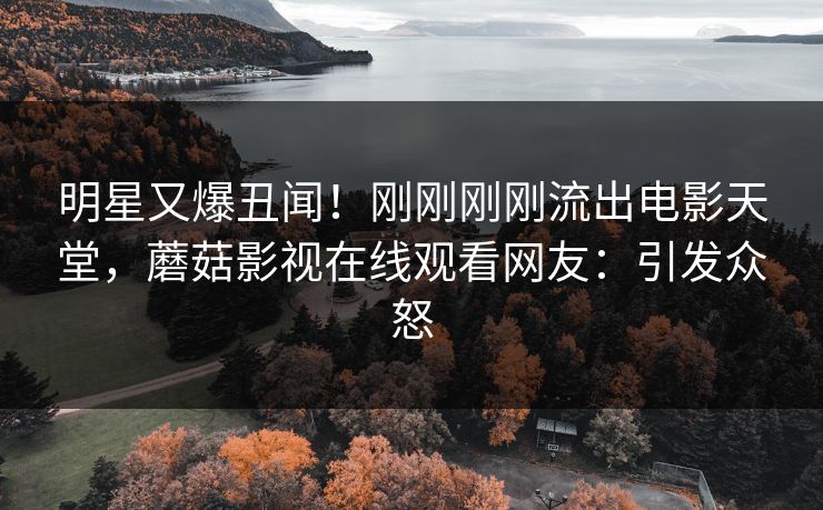 明星又爆丑闻！刚刚刚刚流出电影天堂，蘑菇影视在线观看网友：引发众怒